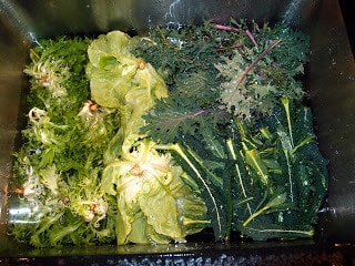 rp_P3141276.JPG