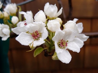 rp_P4102992.JPG