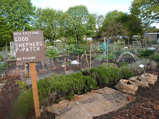 rp_P5074421.JPG