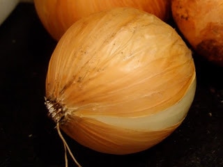rp_PB042589.JPG