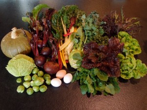 January 8 2012 Harvest