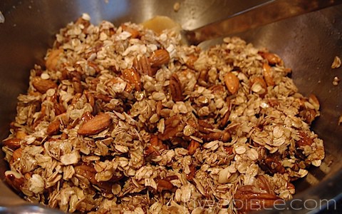 Honey, Nut and Raisin Granola (9)