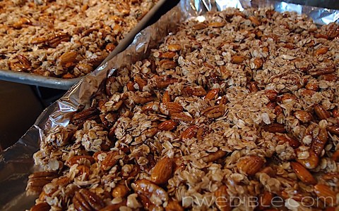 Honey, Nut and Raisin Granola (8)
