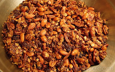 Honey, Nut and Raisin Granola (4)