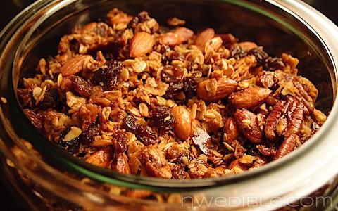 Honey, Nut and Raisin Granola (3)
