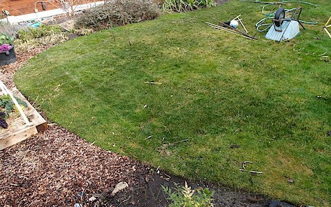 Hugelkultur Beds (31)