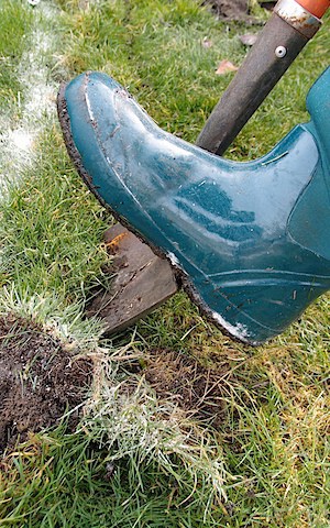 Hugelkultur Beds (25)