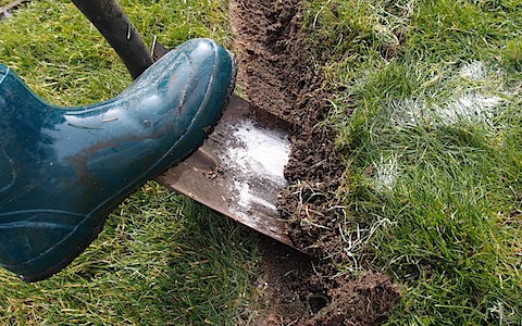 Hugelkultur Beds (23)