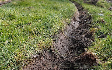 Hugelkultur Beds (22)