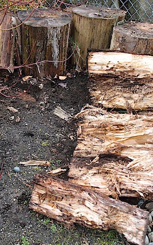 Hugelkultur Beds (19)