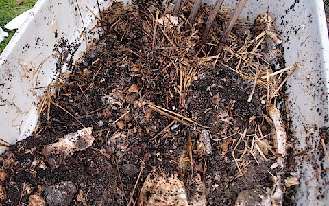 Hugelkultur Beds (15)
