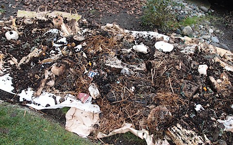Hugelkultur Beds (14)