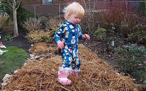 Hugelkultur Beds (12)