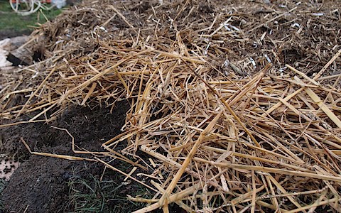 Hugelkultur Beds (11)