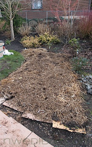 Hugelkultur Beds (10)
