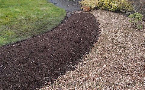 Hugelkultur Beds (8)