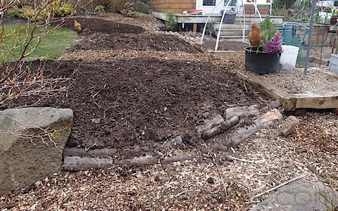 Hugelkultur Beds (5)