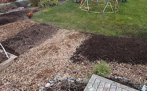Hugelkultur Beds (3)