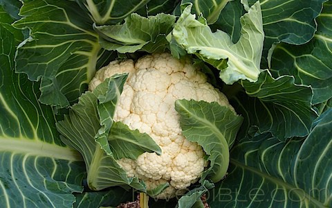 Ginger Breadcrumb Cauliflower with Spicy Dipping Sauce (10)