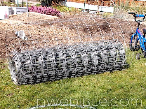 Concrete Mesh Rebat Trellis (31)