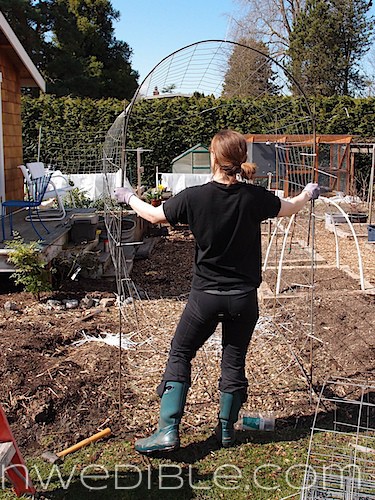 Concrete Mesh Rebat Trellis (30)
