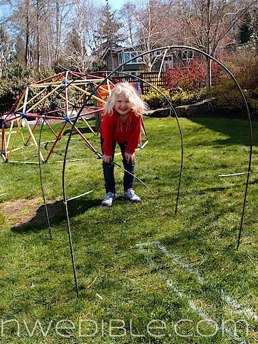 Concrete Mesh Rebat Trellis (29)