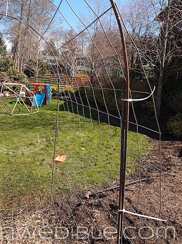 Concrete Mesh Rebat Trellis (25)