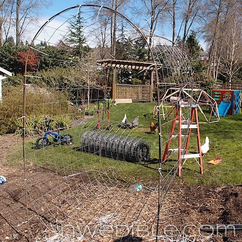 Concrete Mesh Rebat Trellis (24)