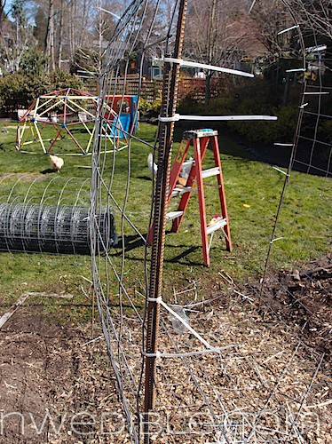 Concrete Mesh Rebat Trellis (23)