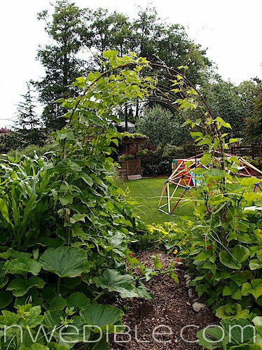 Concrete Mesh Rebat Trellis (16)