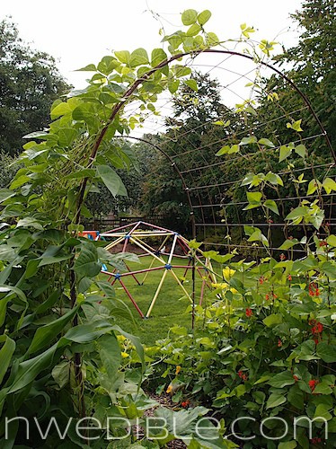 Concrete Mesh Rebat Trellis (15)