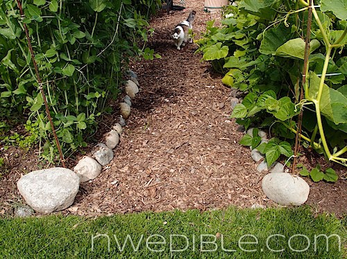 Concrete Mesh Rebat Trellis (11)
