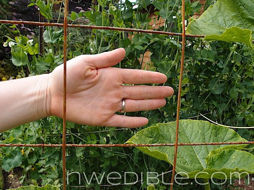 Concrete Mesh Rebat Trellis (9)