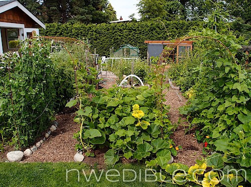Concrete Mesh Rebat Trellis (6)