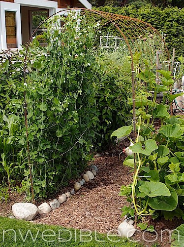 Concrete Mesh Rebat Trellis (5)