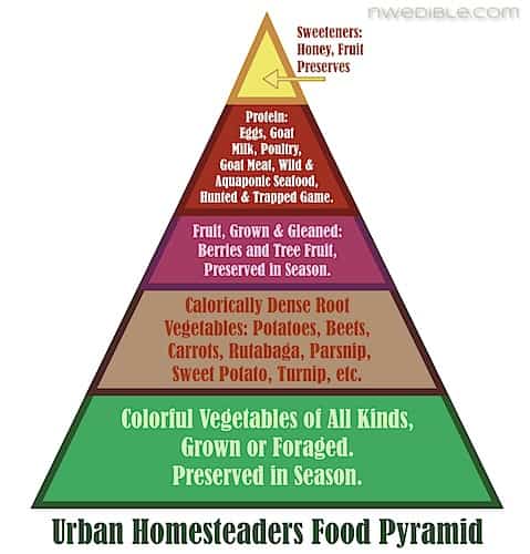 Food Pyramid Essay