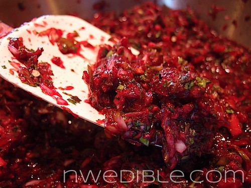 Lacto Fermented Cherry Salsa (7)