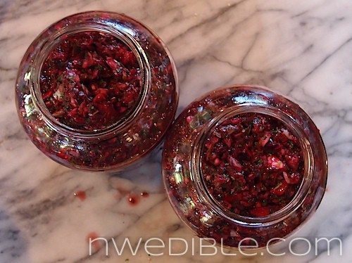 Lacto Fermented Cherry Salsa (6)