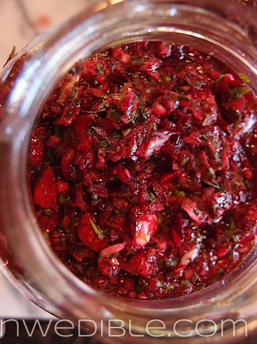 Lacto Fermented Cherry Salsa (5)