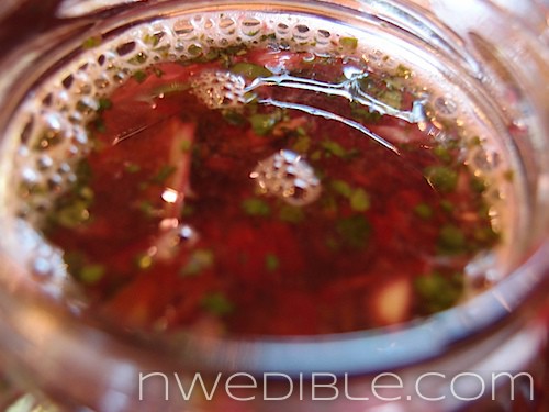 Lacto Fermented Cherry Salsa (4)