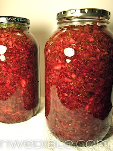 Lacto Fermented Cherry Salsa (3)