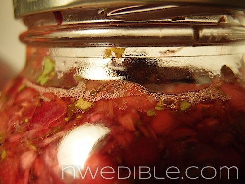 Lacto Fermented Cherry Salsa (1)