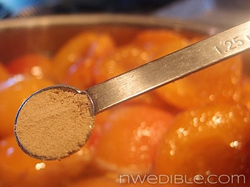How To Make Jam Without Pectin (11)