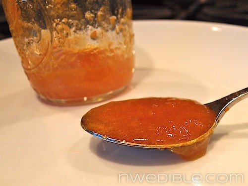 How To Make Jam Without Pectin (1)