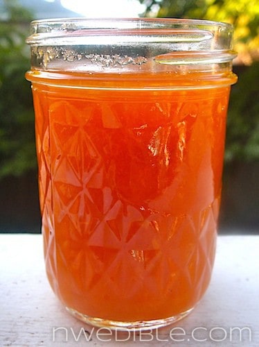 How To Make Jam Without Pectin (2)