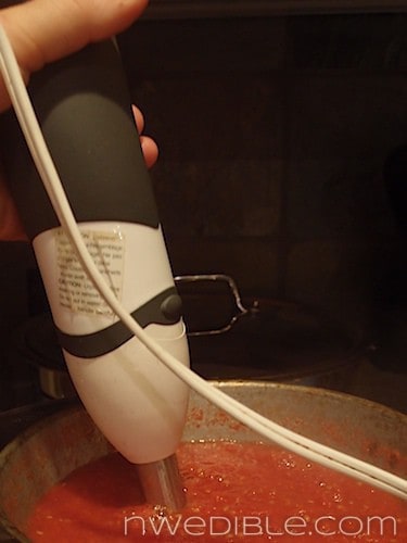 Making Thick Tomato Sauce From Tomato Skins (7)