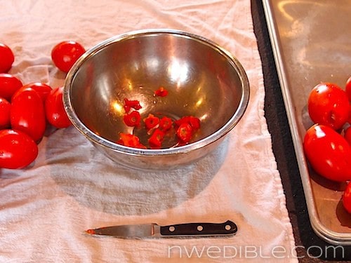 Making Thick Tomato Sauce From Tomato Skins (2)