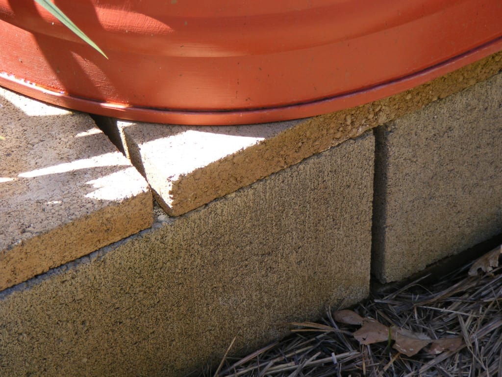 Livestock Tank Planters (2)