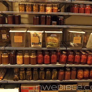 Pantry Oct 2012 (16)