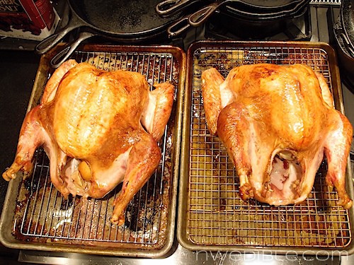 Heritage and Heirloom Turkey (9)